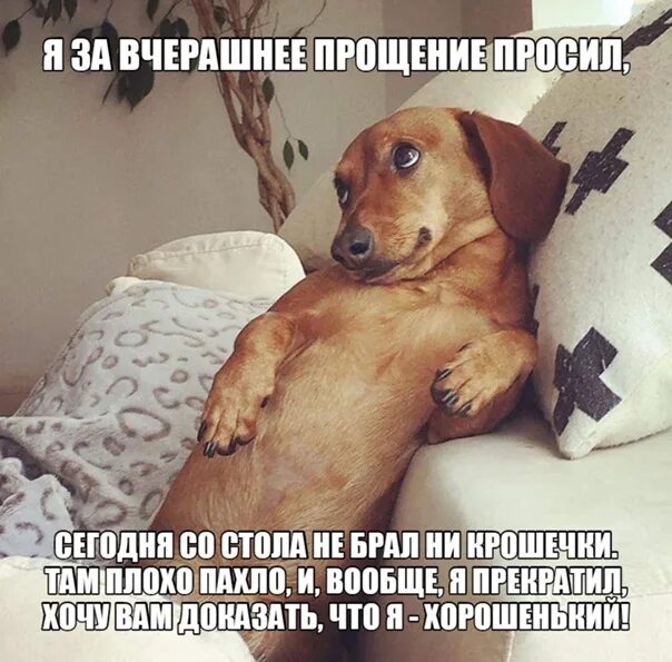 Утро прощение. Слова для любимого. Утро прощение. Объятия детей. Хороший котик.