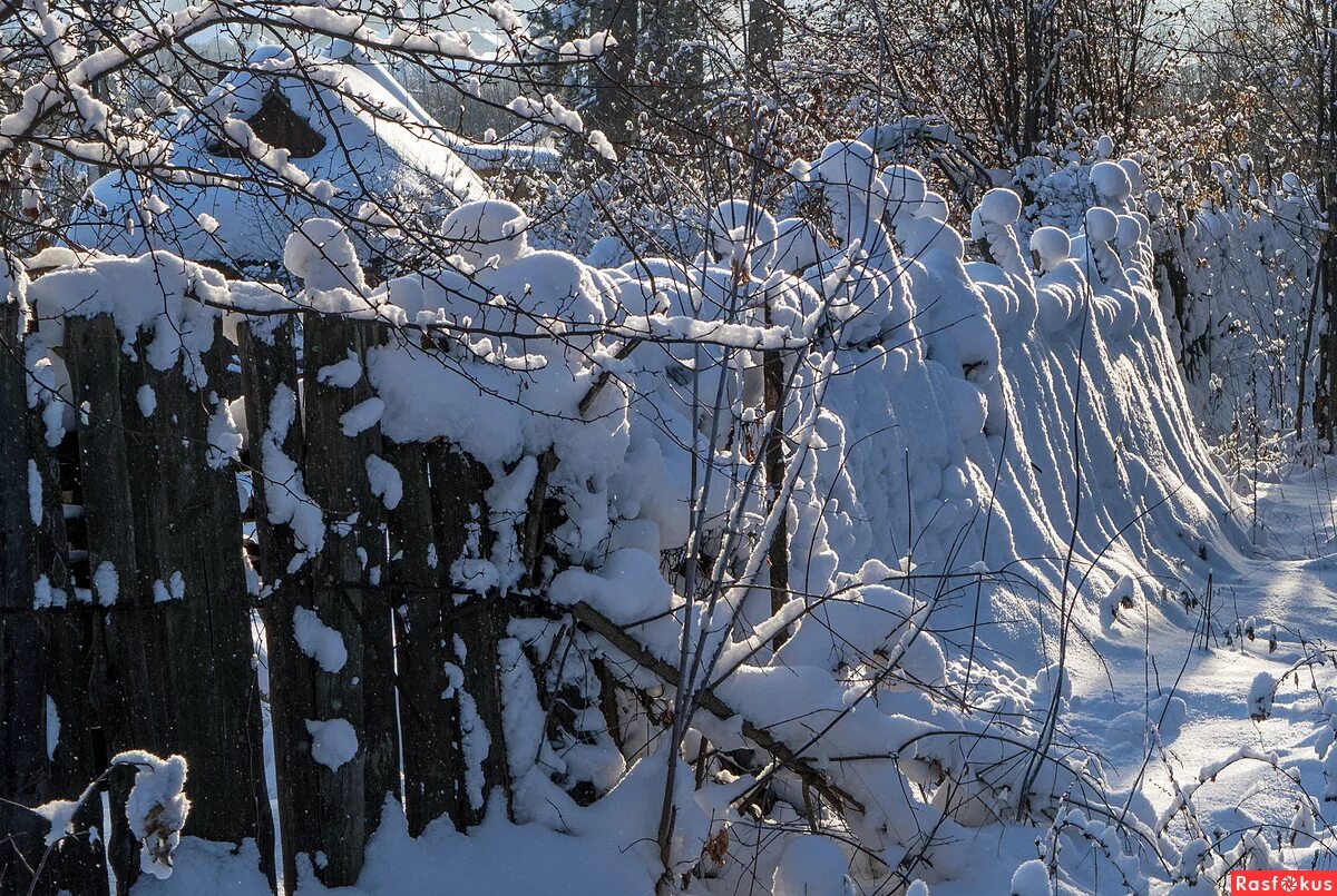Песня белую поляну накрывает зима. Зимушка зима. Февральская метель. Зима в сибири. Песня белую поляну накрывает зима.