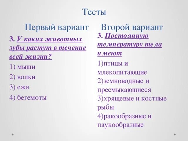 Поведение млекопитающих тест. Поведение млекопитающих тест