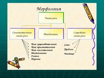 Что изучается в морфологии 7 класс