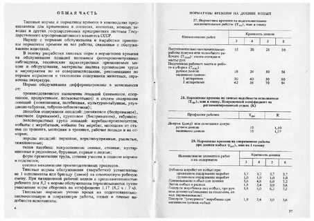Типовые нормативы управления