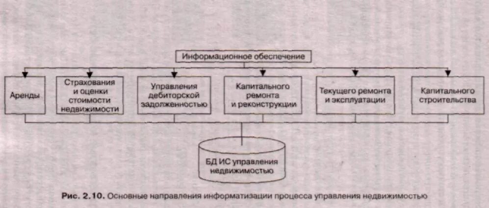 Управление информационными системами курсовая. Направления информатизации муниципального управления. Формирование стоимости недвижимости доклад. Управляющие информационные системы зарисовка.