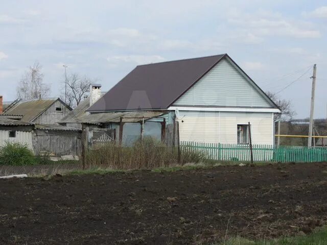 погода дельная дубрава тамбовская область