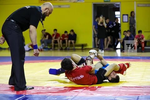 Программа спортивной борьбы