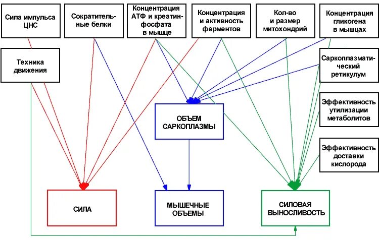 комплекс упражнений лфк. характер физической нагрузки. физическая активность рисунок. биомеханический анализ техники. функциональная активность человека.