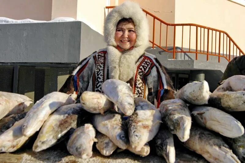 Рыба северных народов. Инуиты гренландии. Рыболовство народов севера. Ханты и манси рыболовство и охота. Ненцы рыбаки.