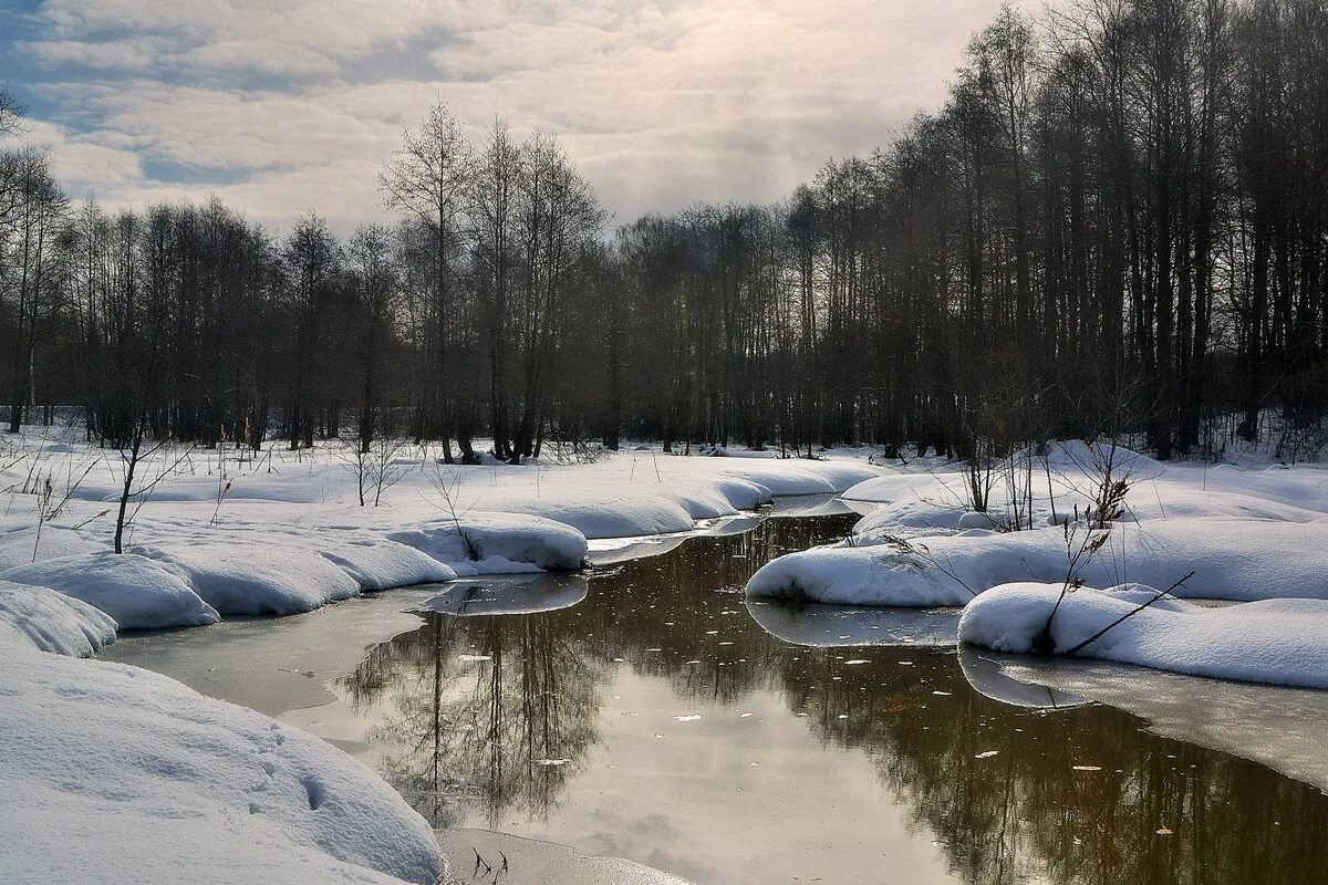 Март р. Крокусы и подснежники. Март р. Пролески, подснежники, крокусы. Март р.