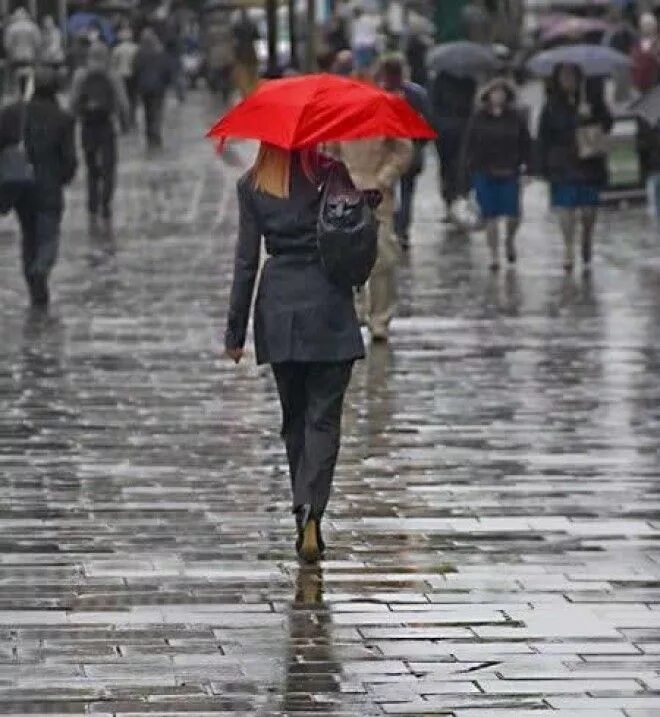 Люди с зонтами на улице. Прогулка под дождём. Человек под зонтом. Женщина под дождем.