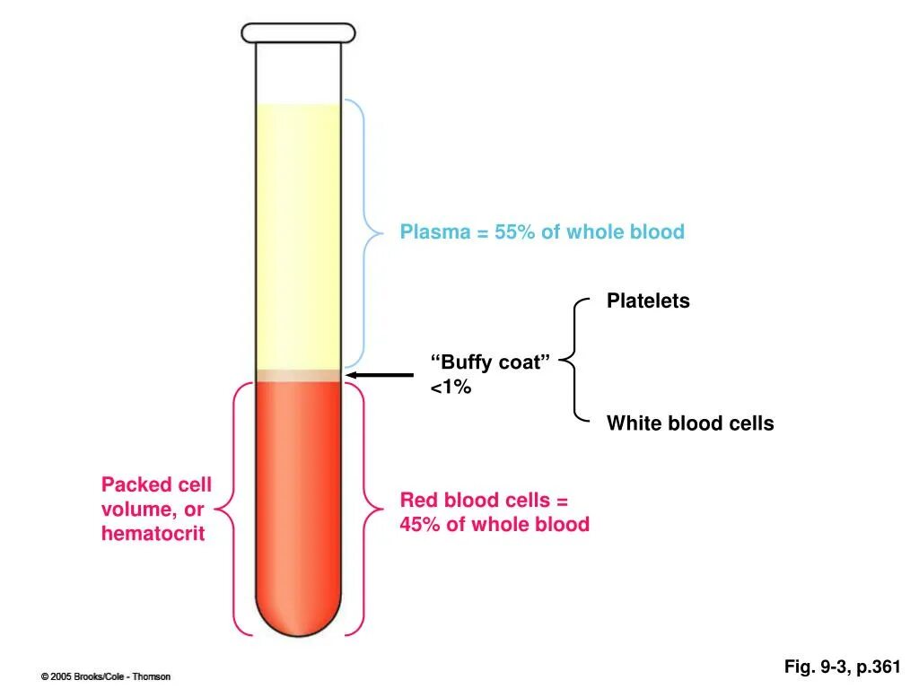 Гематокрит форум. Капиллярные трубки для гематокрита. packed cell volume. buffy coat. blood analysis hct.