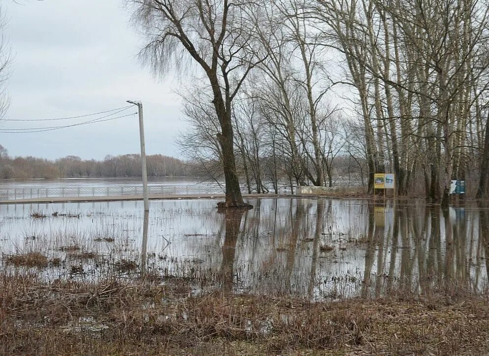 Уровень воды в реке ока город рязань. Разлив в лесопарке Рязань 2023. Разлив Оки в Рязани. Затопленный лесопарк Рязань. Разлив Оки в Рязани 2023 год.