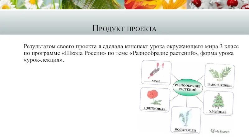 Создание моделей при изучении растений проект Муниципальный практический семинар для учителей химии и биологии. Буклет