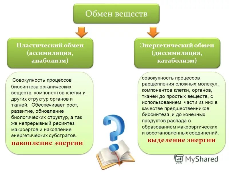 Взаимосвязь пластического и энергетического обмена схема. Процессы пластического и энергетического обмена в клетке. Взаимосвязь пластического и энергетического обмена схема. Пластический обмен в клетке. Этапы пластического обмена в биологии.