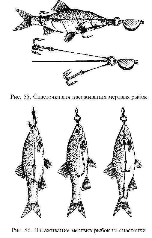 Снасточка на щуку на мёртвую рыбку. Снасточка для ловли хищника на мёртвую рыбку. Снасточка Крючкова для щуки на мертвую рыбку. Снасточка для мертвой рыбки для спиннинга.