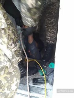 Утонули в выгребной