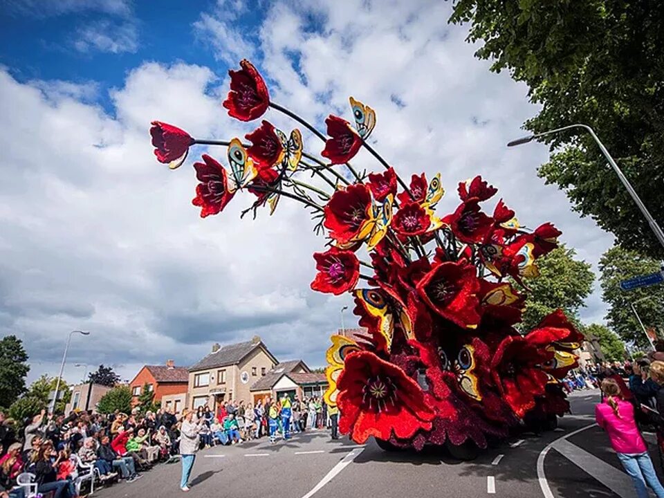 День фестиваля цветов. Парад цветов Bloemencorso в Голландии. Цветочный фестиваль Bloemencorso в Нидерландах. Грот-Зюндерт Нидерланды. Блюменкорсо в Голландии.