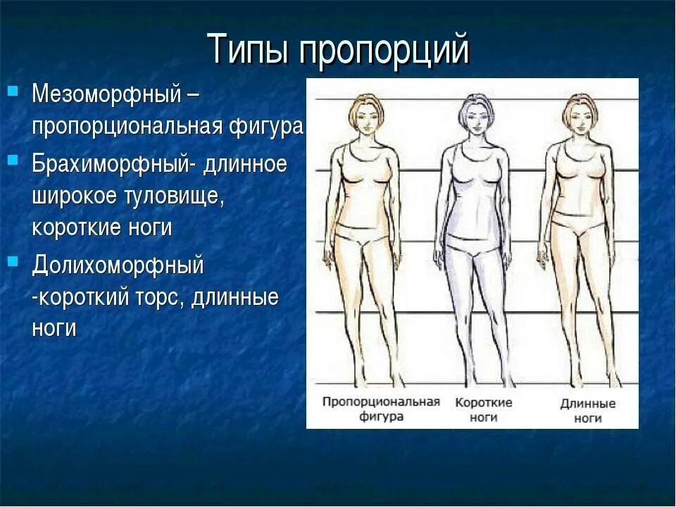 Характеристика внешней формы тела человека; типизация фигур. Типы пропорций тела человека. Пропорциональное Телосложение. Долихоморфный Тип телосложения. Изменяется в зависимости от размера