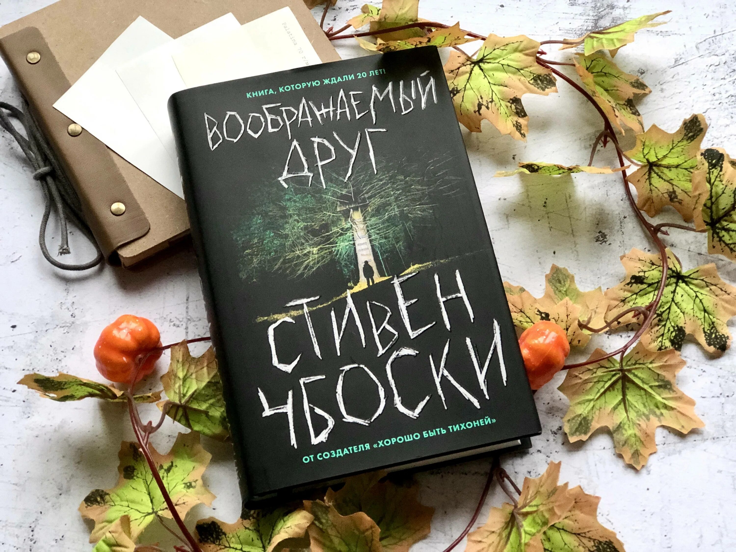 Книга воображаемый друг