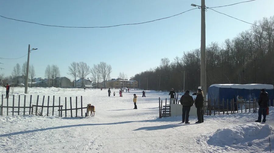 Каток в лесу на дубравной казань. Каток среди деревьев. Парк на дубравной казань каток. Каток на дубравной. Каток в лесу на дубравной казань.