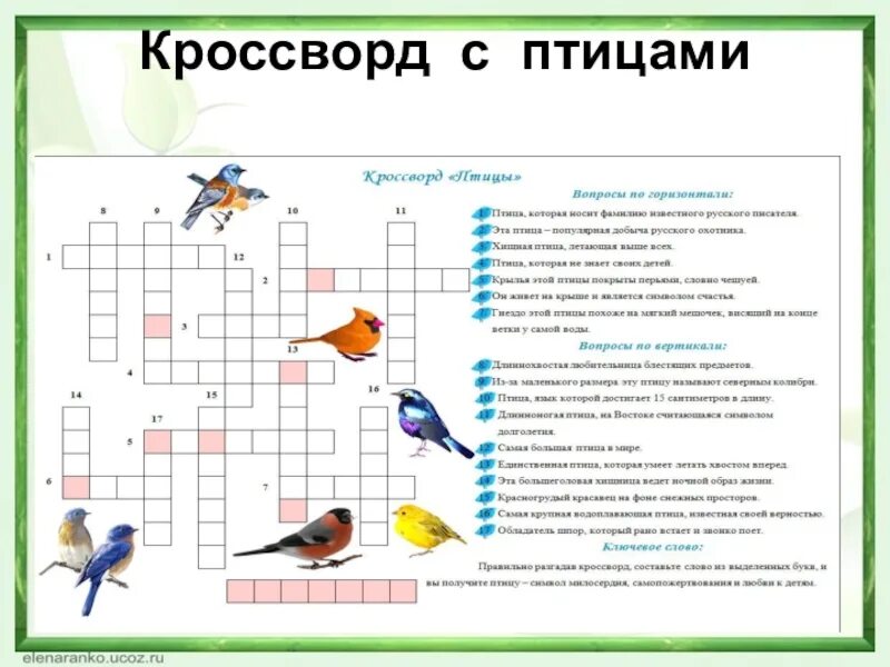 Кроссворд по классу птицы. Кроссворд на тему птицы 2 класс окружающий мир. Кроссворд птицы для детей с ответами. Кроссворд про птиц по окружающему миру 2 класс. Кроссворд птицы 2 класс с ответами.