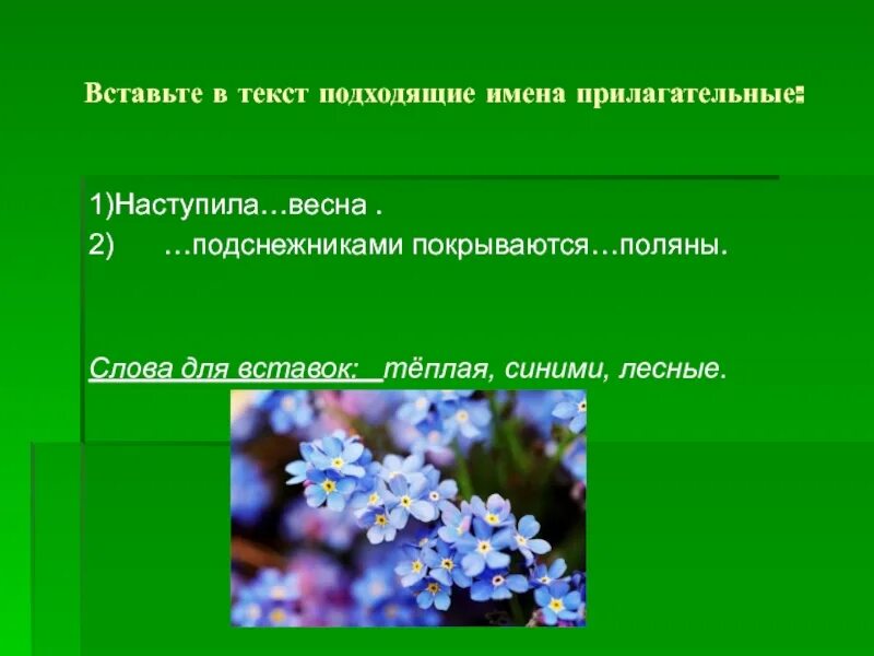 Травка имя прилагательное. Прилагательные к весне. Весенние цветы прилагательные. Незабудка прилагательные.