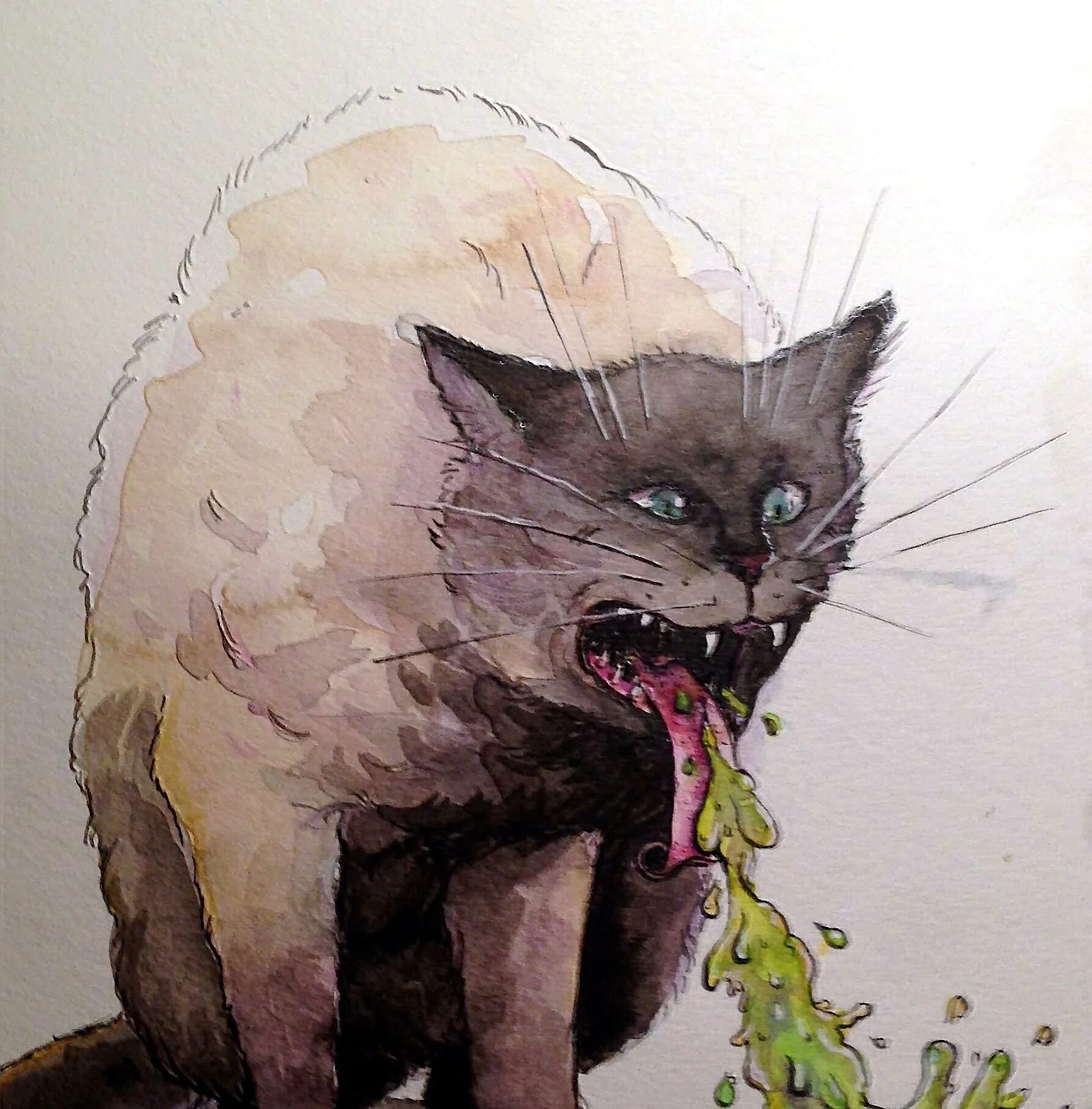 Рыгающий кот. Кот рыгает. кота тошнит.