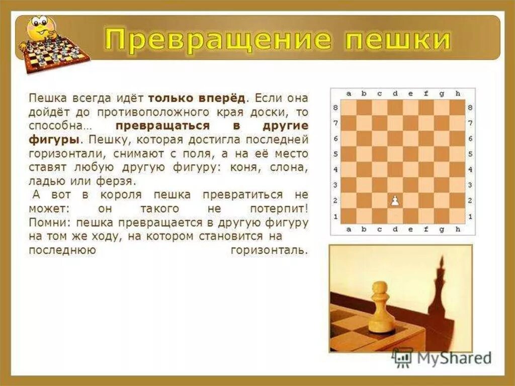 Рубит ли король в шахматах. Как ходят шахматные фигуры. Шахматы названия фигур и расстановка. Шахматная фигура пешка. Фигуры в шахматах.
