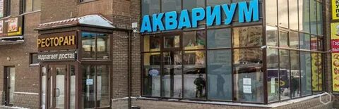 Кафе бутово парк