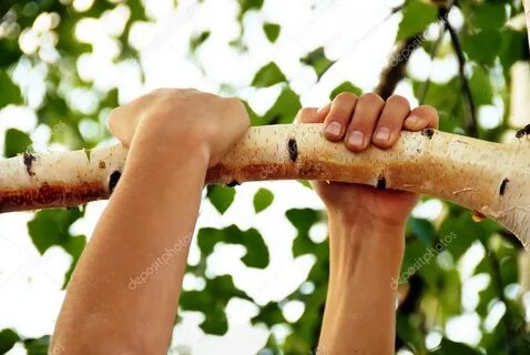 Держа в руке лакомство он