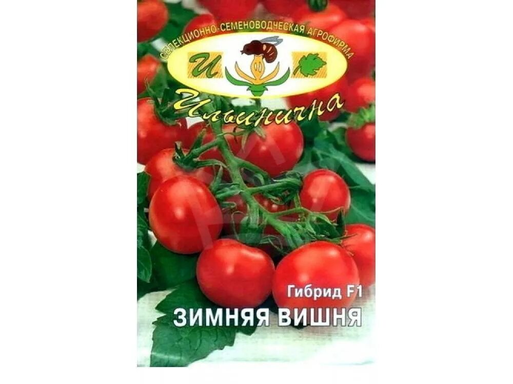 Томат зимняя вишня. Томат черри зимняя вишня. томат зимняя вишня f1. томат зимняя вишня партнер. томаты зимняя вишенка.