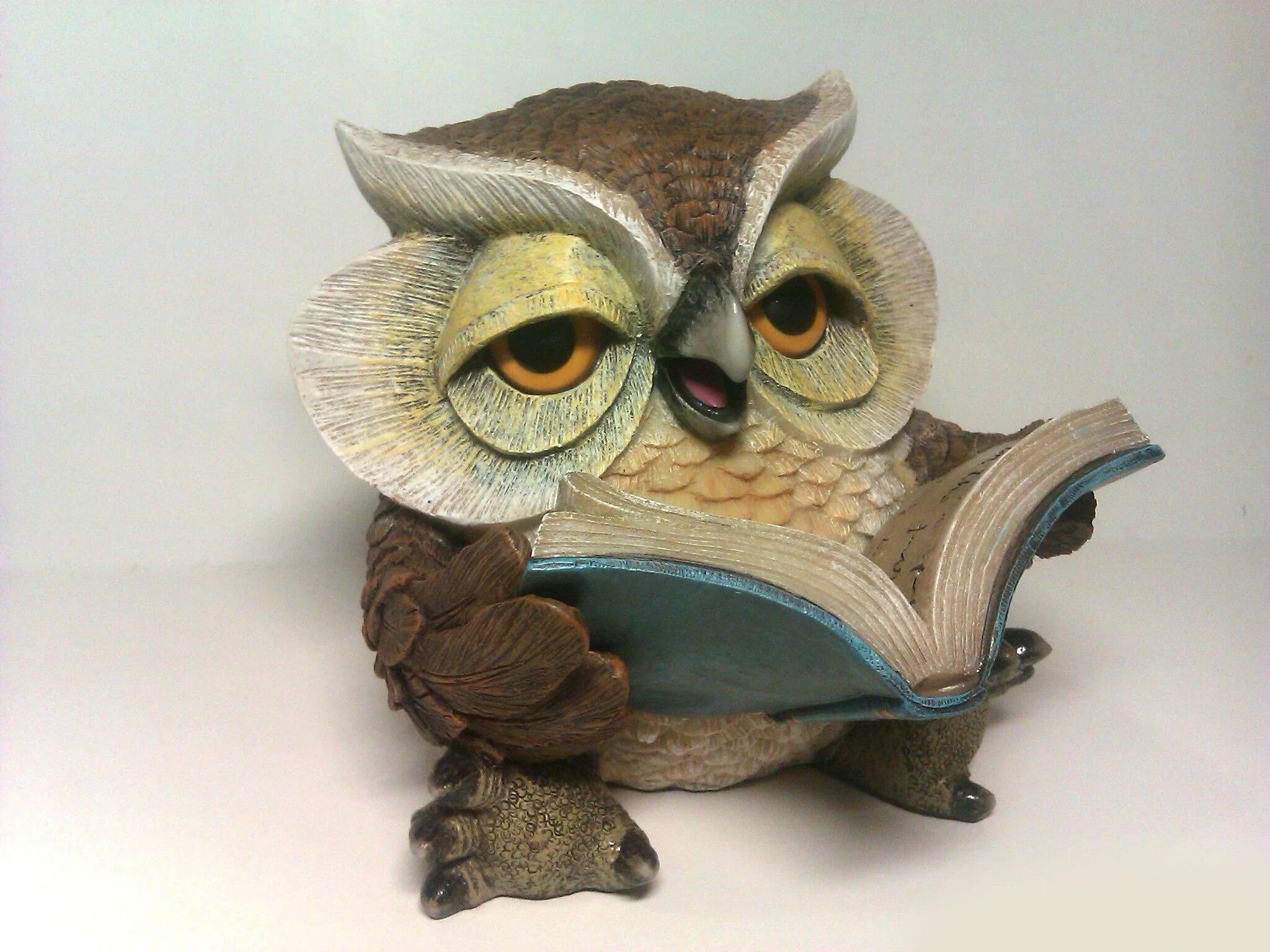 Символ мудрости и знаний. Сова мудрость. Сова мудрости. Знак знаний и мудрости. Сова символ мудрости и знаний.