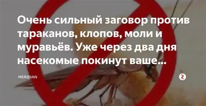 Молитва от грызунов