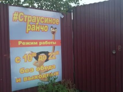 Страусиное ранчо верхоянская ул 48 отзывы