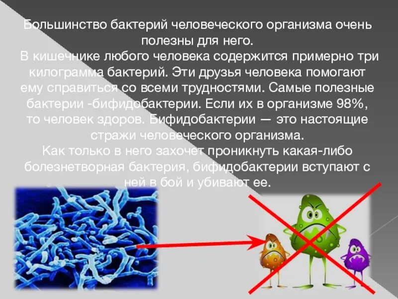 Какие бактерии содержатся в. Какие бактерии содержатся в