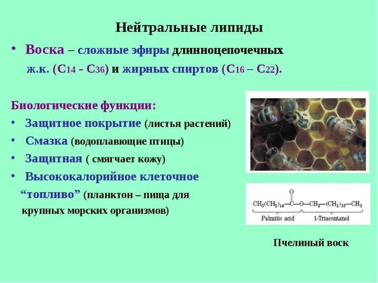 Природные воски примеры. Функция воска липиды. Воск пчелиный физико химические свойства. Воск формула химическая. Воск относится к веществам.
