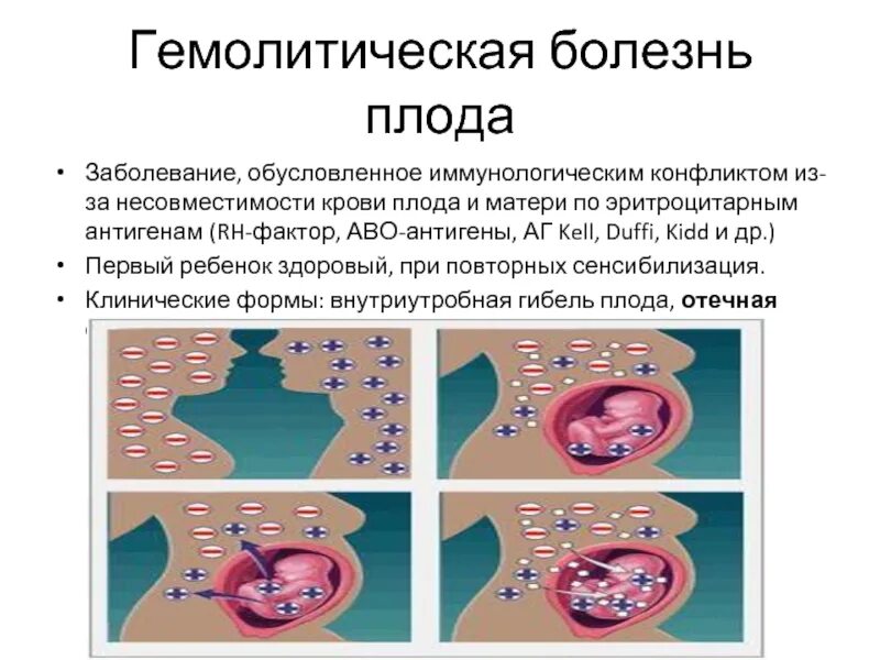 Резус плода анализ. Гемолитическая болезнь плода. Патогенез несовместимости крови матери и плода. Гемолитическая болезнь матери.