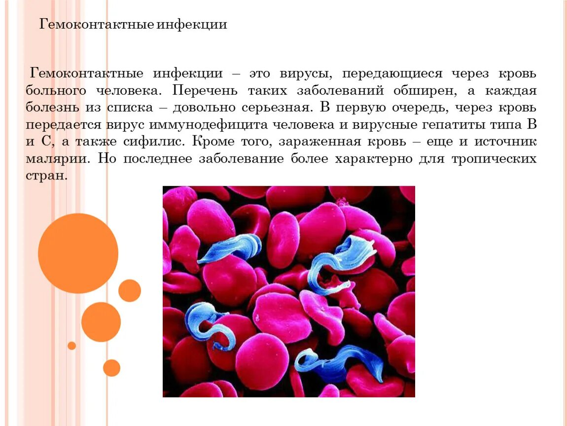 Инфекции передающиеся кровью. Вирусные инфекции передающиеся через кровь. профилактика гемоконтактных инфекций. гемоконтактнвп инфекции этт. болезни передающиеся через кровь больного.