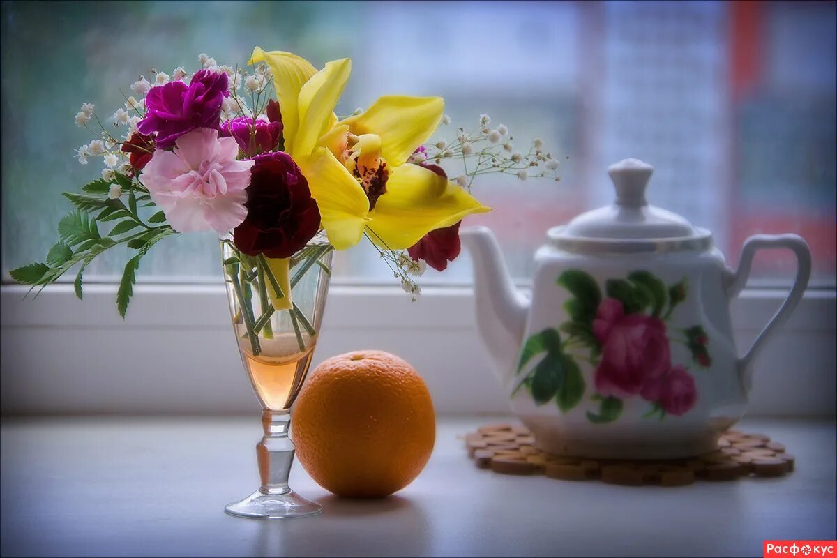 доброе утро натюрморт. натюрморт утренний завтрак. доброе утро натюрморты. натюрморт лето. доброе утро натюрморт.