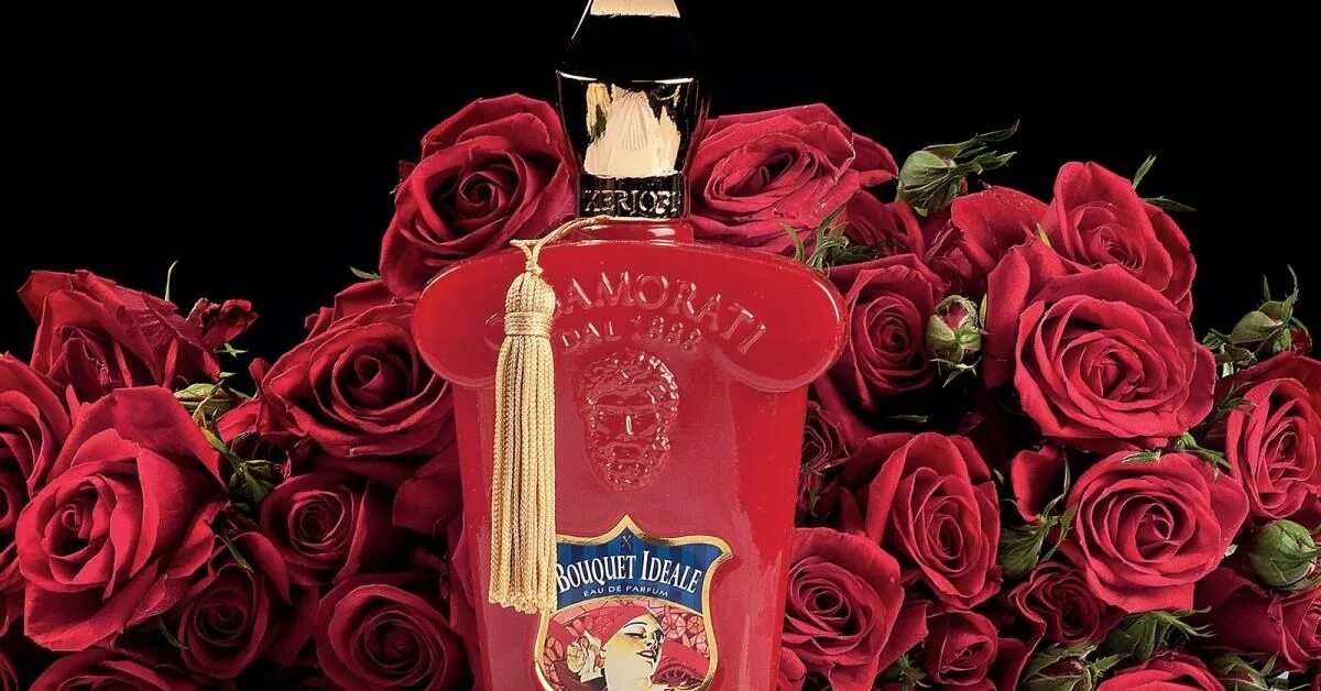 Ксерджофф букет. Духи casamorati bouquet ideale. Bouquet ideale xerjoff. Духи casamorati bouquet ideale. Casamorati 1888 красные.