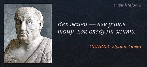 Век живи век учись рассказ. Изречения Сенеки. Сенека цитаты и афоризмы. Сенека афоризмы. Высказывания философа Сенеки.