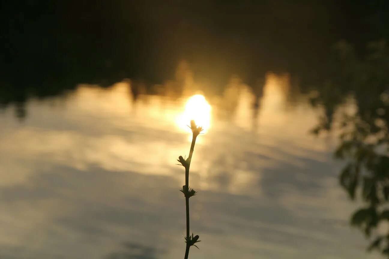 Планетарная свеча солнце. Горящая свеча на фоне неба. Свечка солнце. Свечка солнце. Форма луна и солнце для свечей.