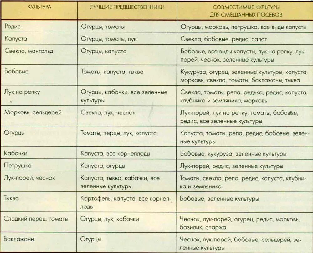 После помидор можно сажать перец. После чего сажать лук. После каких культур сажать. После чего можно посадить лук. Лучшие предшественники.