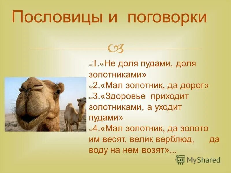 загадка про верблюда для детей. сказочный верблюд. загадки про пустыню. высказывания про верблюда. поговорки верблюд.