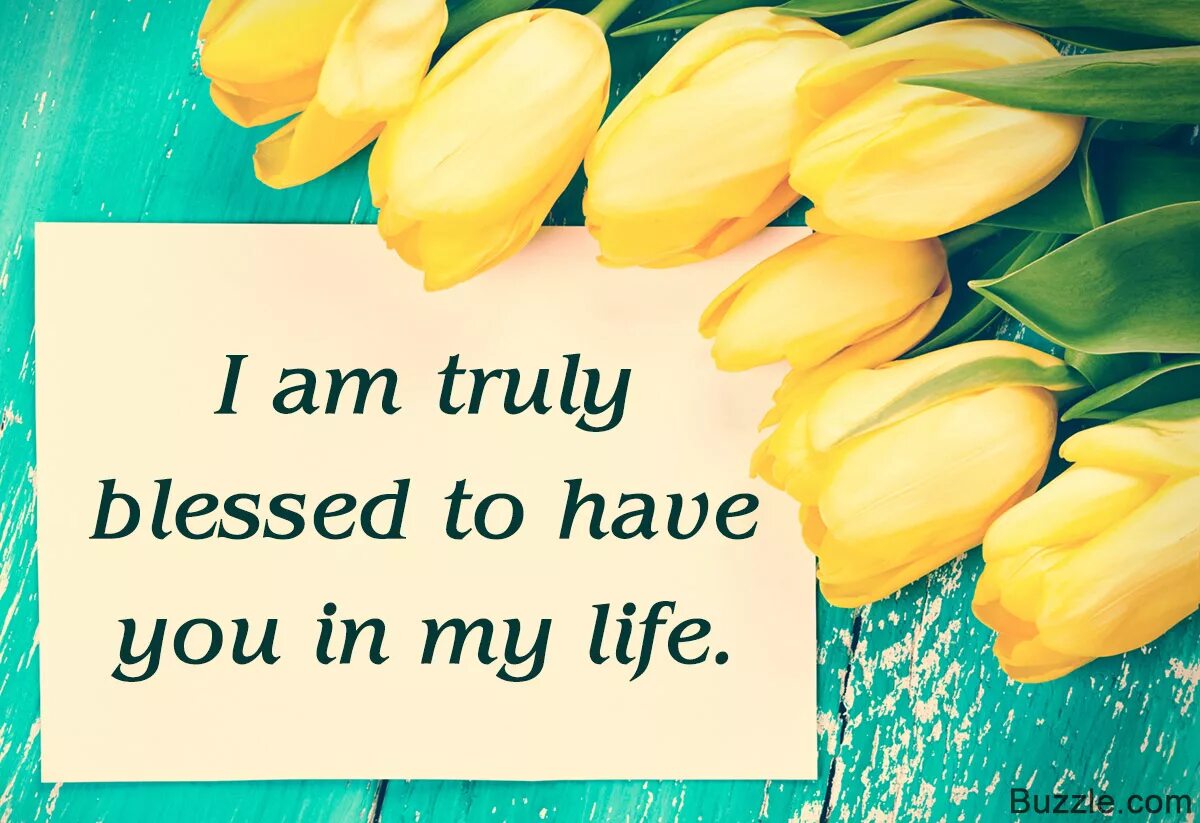 Have this life of mine. Thank you for being in my Life. Thanks for being in my Life. Thank you for being. Thank you Life.