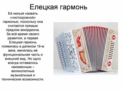 Название гармошки из истории языка и культуры