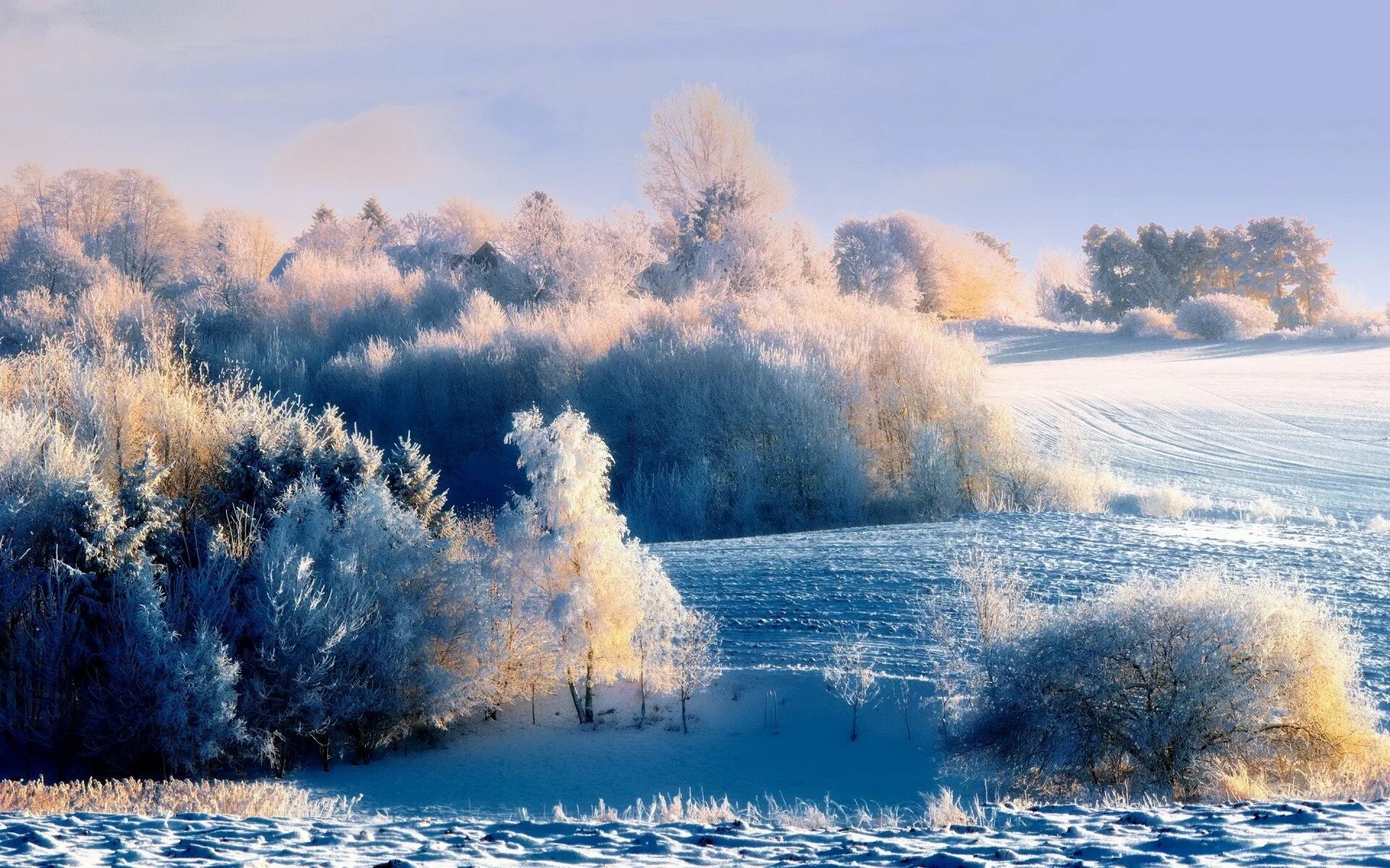 Зимний пейзаж. Морозная зима. Морозное утро. Морозный пейзаж.