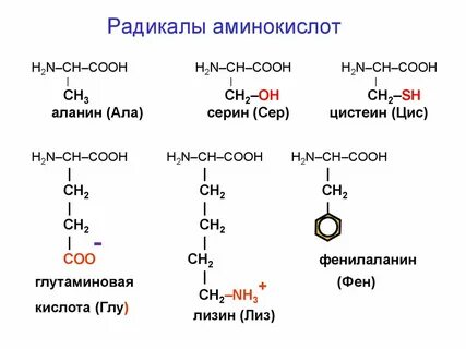 Радикал