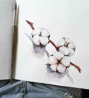 Рисунок хлопка