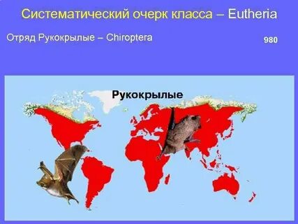 Систематическое распространение