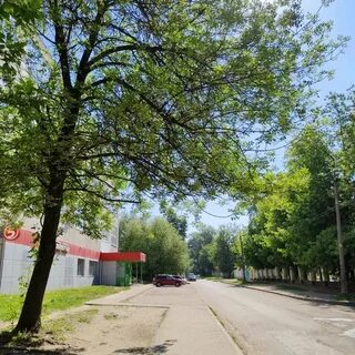 Тверь з коноплянниковой