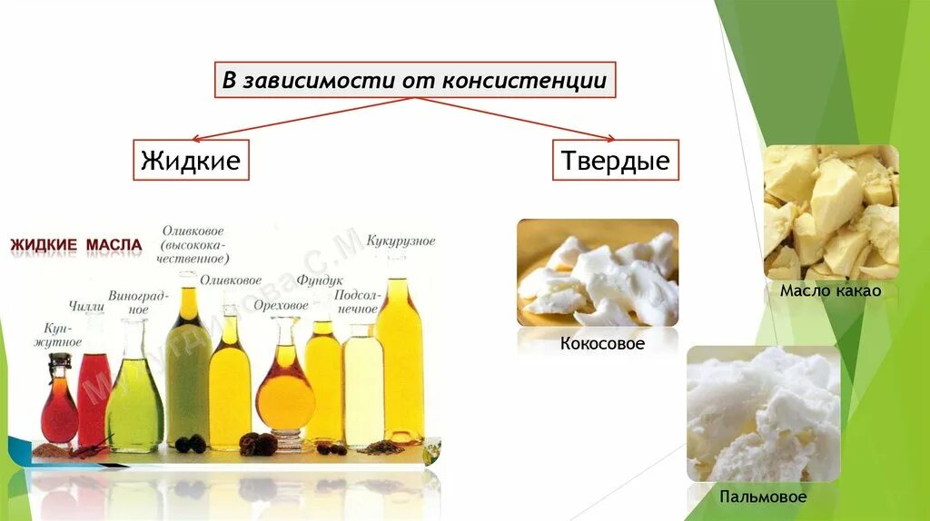 Чем отличаются твердые жиры от жидких изобразите. Заменитель масла какао. Пищевые жиры. Твердые и жидкие жиры. Твердой консистенции - жир?.